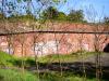 2011-B57 - panoramio